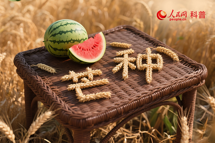芒种“忙”什么？看古人种地，学今人养生